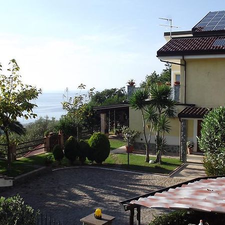 B&B L'Eucalipto Paola Exteriör bild