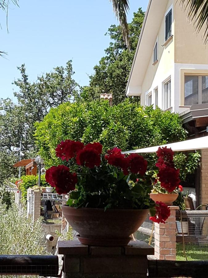 B&B L'Eucalipto Paola Exteriör bild